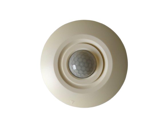 MOTION LIGHT